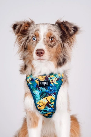 Chaba Comfort Szelki Dla Psa L Carnival 2,0/42-56cm