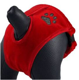 Grande Finale Majtki Na Cieczkę Czerwone Paw Rozmiar 3