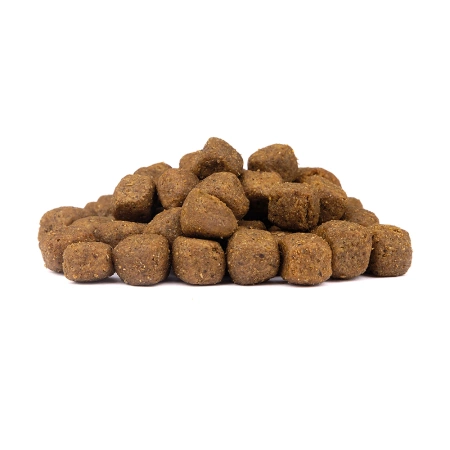 Wolfsblut Limited Ingredients Karma dla Psa Kaczka 9kg