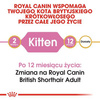 Royal Canin Karma Dla Kociąt Rasy Brytyjski Krótkowłosy 400g