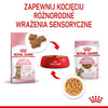 Royal Canin Karma Dla Kociąt 6-12. Sterylizowanych 85g
