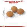 Royal Canin Exigent Protein Preference Karma Dla Kota 400g