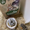 Witte Molen Country Hamster & Friends Dla Gryzoni 850g