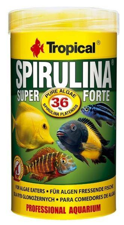 Tropical Spirulina Forte 36% puszka 250ml