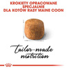 Royal Canin Karma Sucha Dla Kota Rasy Maine Coon 400g