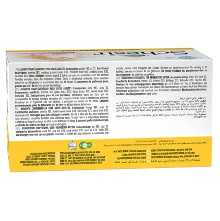 Schesir Karma Dla Kota Multipak Kurczak Ryż 6x50g