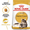 Royal Canin Karma Sucha Dla Kota Rasy Maine Coon 400g