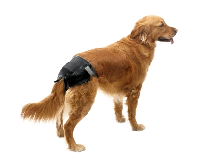 Savic Nappy Pieluchy dla Psa T6 46-56cm 12szt