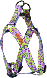 Dino Szelki Dla Psa Regulowane Ivo Liść 15mm 40-50cm