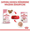 Royal Canin Kitten Karma Mokra Dla Kociąt Pasztet 85g