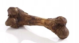 Vector-Food Przysmak Dla Psa Kość Wołowa Gigant 1szt