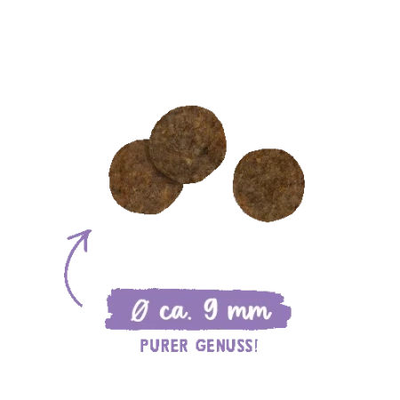 Sanabelle Sterilized Sucha Karma dla Kota Drób 400g