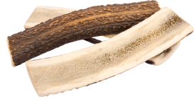 4Dogs Gryzak XXL (Easy) Z Poroża Jelenia