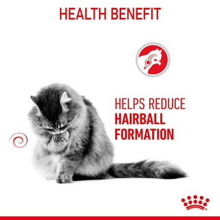 Royal Canin Hairball Care Karma Mokra Dla Kota w Sosie 85g
