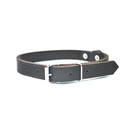 Chaba Skórzana Obroża Dla Psa Brąz 18mm/47cm