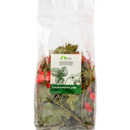 TIVO Przysmak dla Gryzoni Królika Truskawkowe Pole 100g