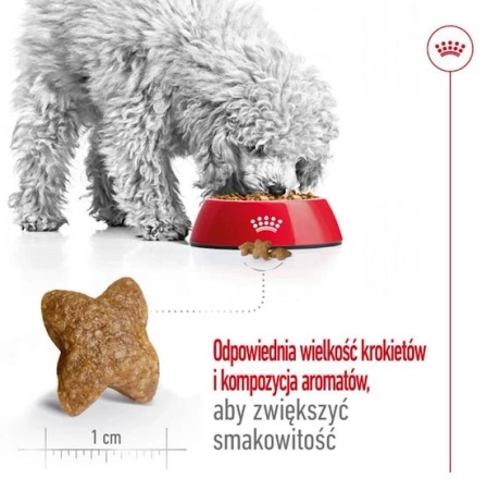 Royal Canin Mini Adult Karma dla Psa Rasa Mała 800g