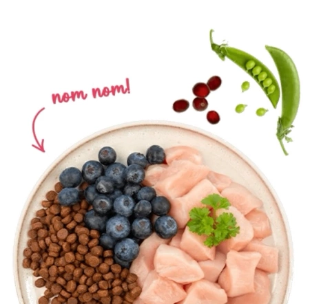 Sanabelle Adult Huhn Karma dla Kota Kurczak 400g