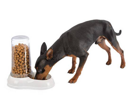 Ferplast Azimut Dozownik do Karmy dla Psa Kota 600ml