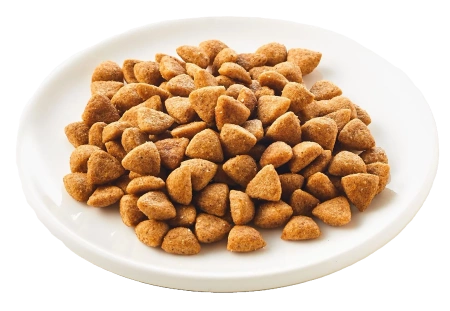 Kattovit Karma Dla Kota Niere Renal Na Nerki 400g