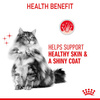 Royal Canin Hair Skin Care Karma Mokra dla Kota Sos 85g