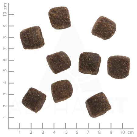 Wolfsblut Squashies Wide Plain Przysmak dla Psa Rasa Duża 300g