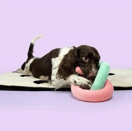 Coockoo Pluszowa Zabawka Dla Psa Węzeł Kolor Mix