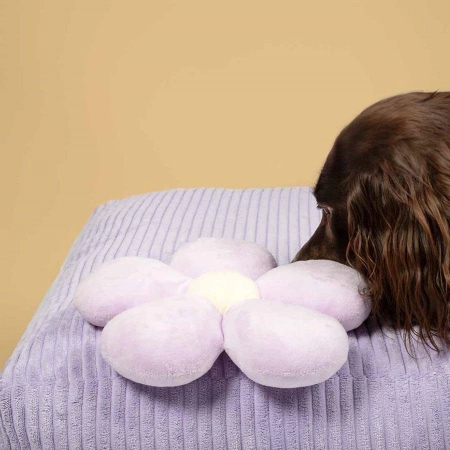 Coockoo Pluszowa Zabawka Dla Psa Fun Flower 23cm