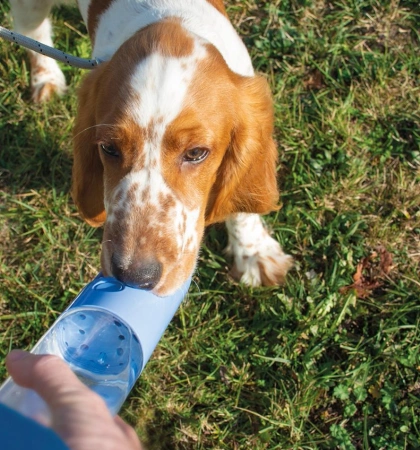 Duvo+ Butelka Podróżna dla Psa Niebieska 450ml