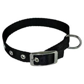 Chaba Obroża dla Psa Taśma 1,6/46cm Czarna