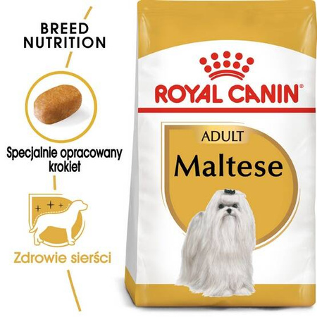 Royal Canin Sucha Karma Dla Maltańczyka 500g