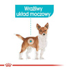 Royal Canin Karma Mokra dla Psa na Układ Moczowy 85g