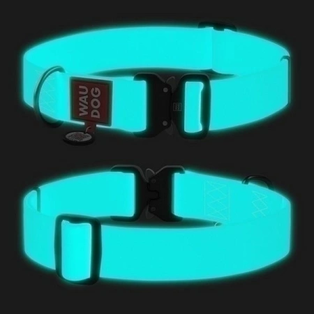 WAUDOG Obroża Dla Psa Niebieska XL 2,5/38-58cm