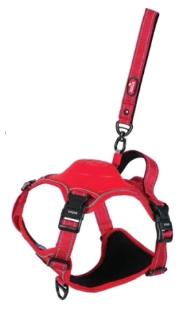 Zolux Easyride Szelki Dla Psa Ze Smyczą XS Czerwone