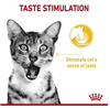 Royal Canin Sensory Taste Karma Mokra Dla Kota w Sosie 85g