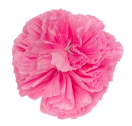 Ebi Zabawka Dla Kota Kłębek Z Bibuły