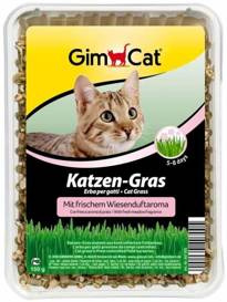 Gimpet Trawa Dla Kota 150g Pudełko