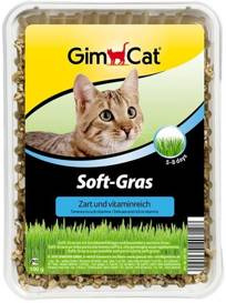 Gimpet Soft-Gras 100g Trawa Pojemnik