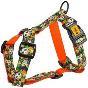 Dingo Szelki Guard City Chiapas M 3,0 X 38-70cm