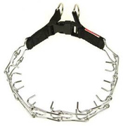 Champion Kolczatka dla Psa 1T 43cm/2,5mm/1,9