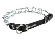 Champion Kolczatka dla Psa 2 Rym 61cm/3mm