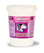 Calcium Witaminy Dla Psa Fioletowy Proszek 400g