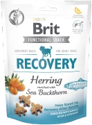 Brit Functional Snack Recovery Herring 150g