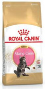 Royal Canin Karma Sucha Dla Kociąt Rasy Maine Coon 2kg