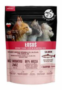 Pet Republic Kot Karma Mokra 100g Łosoś Adult