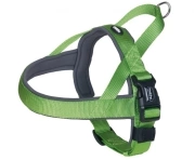 Nobby Classic Preno Szelki S-M Zielone 38-50cm; 20/25