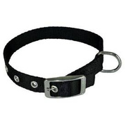 Chaba Obroża Dla Psa Taśmowa Czarna 25mm/70cm