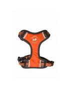 All For Cats Szelki Sportowe S Pomarańcz