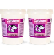 Calcium Witaminy Dla Psa Fioletowy Proszek 2x400g