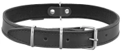 Dino Obroża Skórzana Dla Psa 40mm7cm Czarna